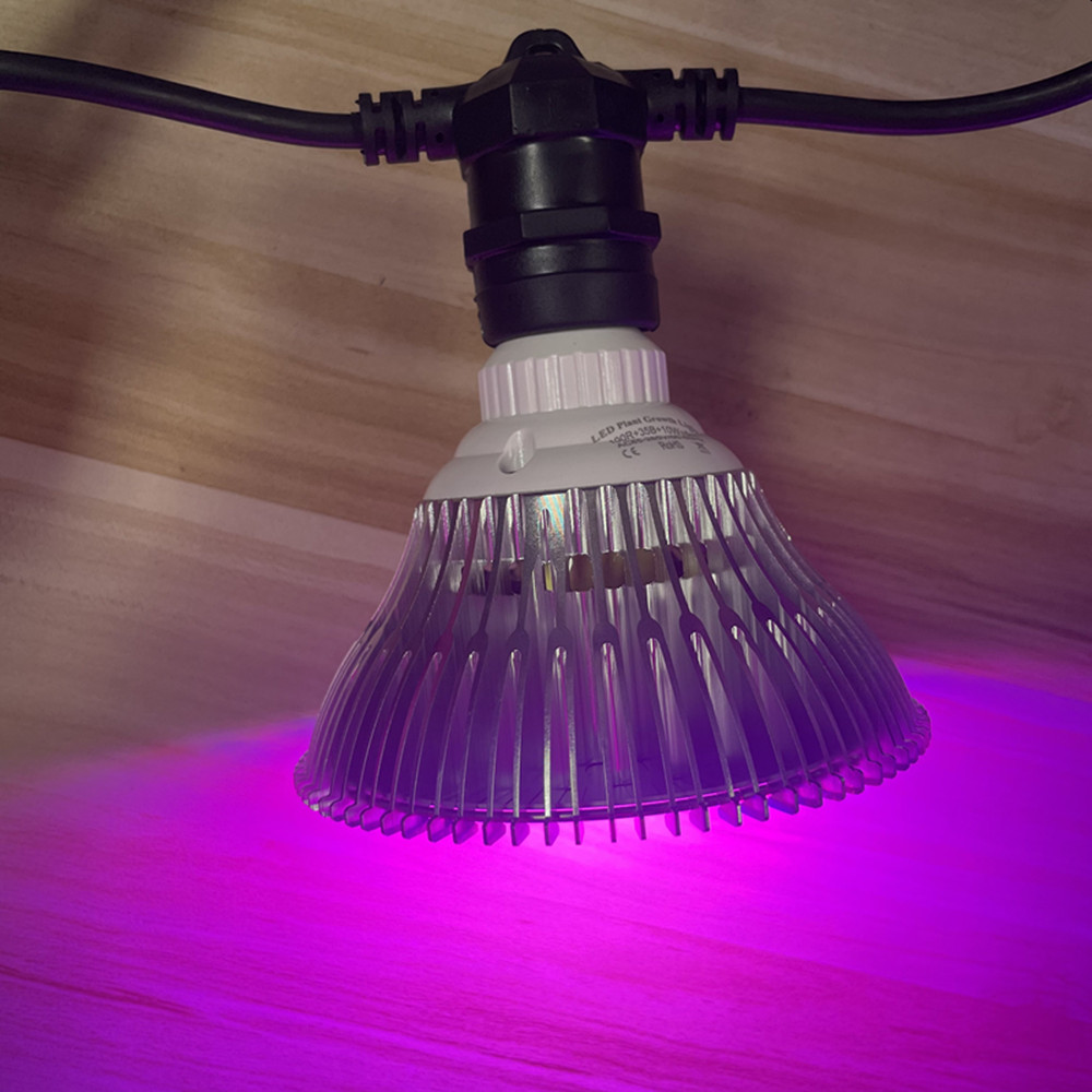 10M Cable LED String Commercia - Outdoor Lighting Effects recensione e prezzo