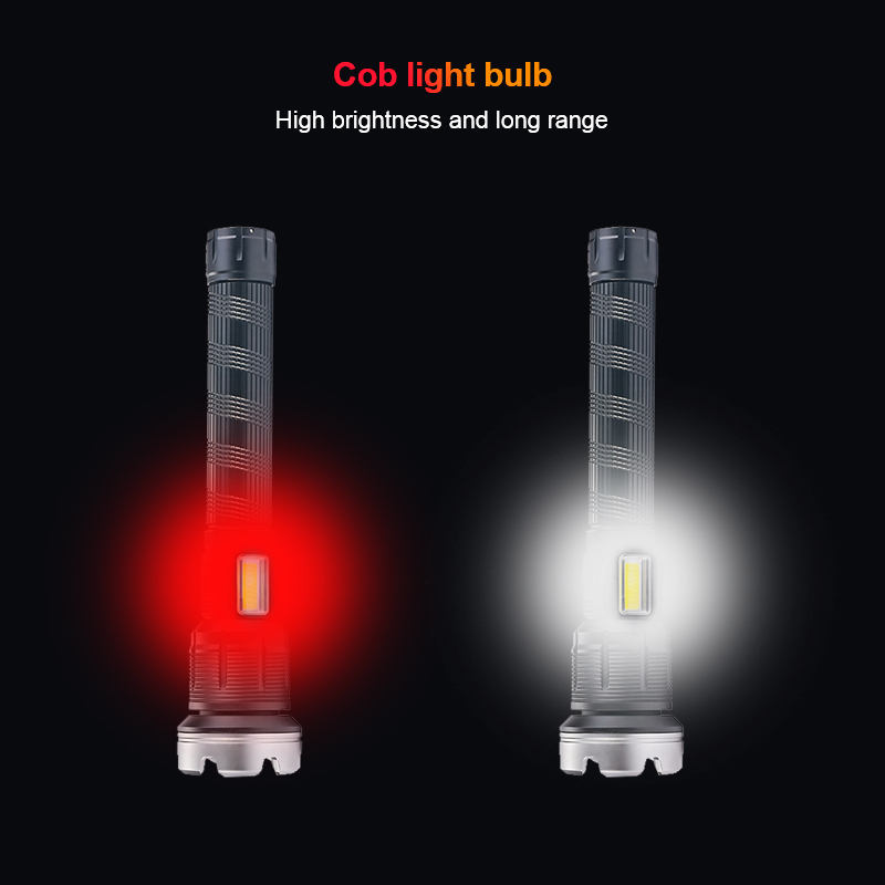 Zoomable Dual Light Hunting Fl - Outdoor Lighting Mains Powered recensione e prezzo